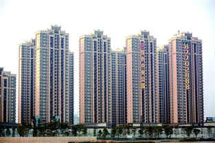 上海楼市8月：新房认购增多