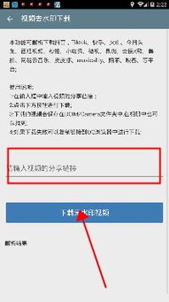 tk助手app下载 tk助手抖音国际版下载v8.5.2 9553安卓下载 