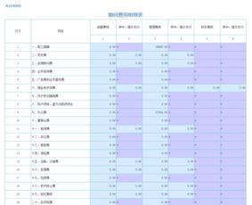 纳税调整项目明细表工资薪金怎么填