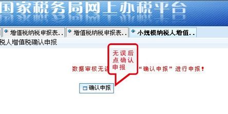 新注册的小规模纳税人，求指点网上报税流程。