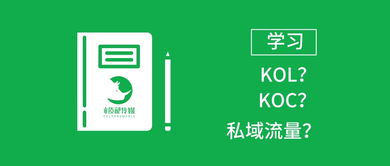 营销必学词语大全图片及解释_koc kol分别是什么？