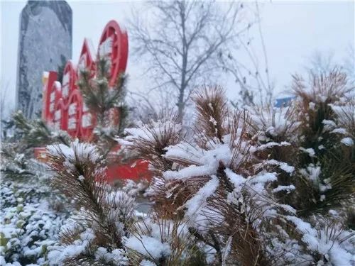 冷 冷 冷 本周降雪降温还刮大风