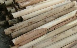 急求 防止木材开裂好方法 