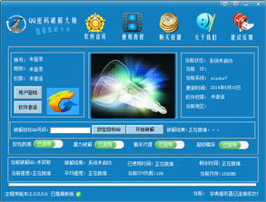 QQ密码破解器免费版下载 QQ密码破解大师2.0绿色版 