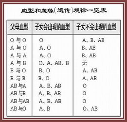 我血型AB我女儿O我老公应该是啥血型 