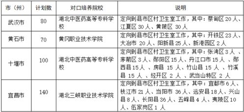 万名大学生乡村医生配备 项目定向培养政策解读来啦,你关心的都在这里