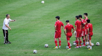 中国足球国家队为什么解散