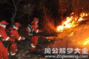 梦见大火包围是什么意思 梦到大火包围好不好 大鱼解梦网 