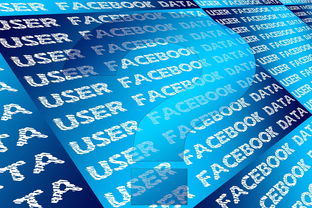  脸书和ins的用户群体有何异同？