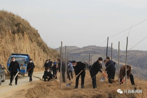 山西吕梁兴县赵家坪乡