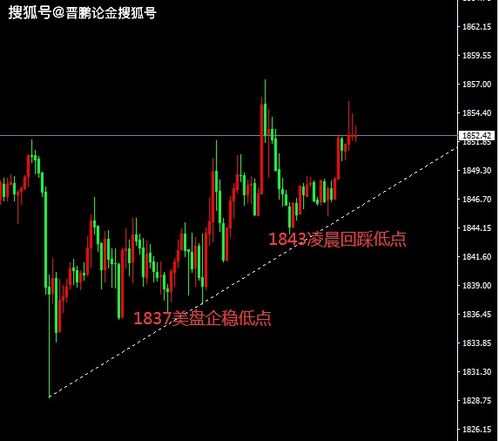 T+0黄金涨跌和什么有关系
？