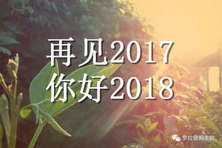 2017年最后一天需要做的事