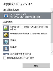 win10文本文档不显示txt