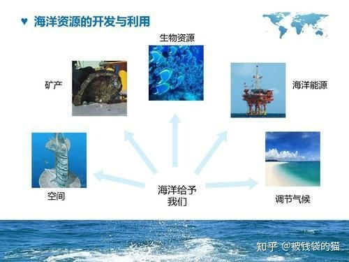 请问国内海洋生物学最好的专业是在中国海洋大学吗 