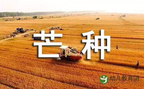 央视新闻客户端芒种节气