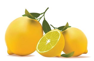 柠檬水果公司起名大全 柠檬水果公司起名大全