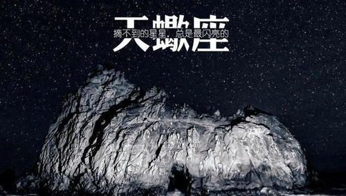 高处不胜寒 的3星座 太过优秀,无人能懂,只能一人承受孤独