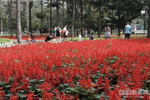 分时段 限人数 省植物园免费开放,游玩需网上预约