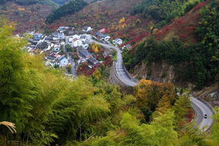 四明山 归来谷民宿详细位置(茶山夜间免费停车场有哪些)