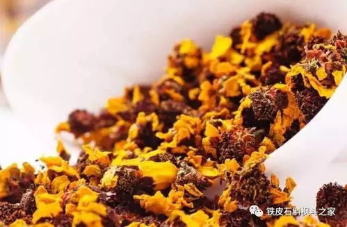 昆仑雪菊和什么一起泡  第2张