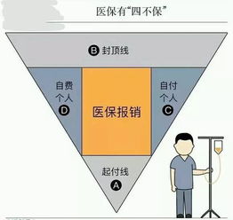 付呗与其他的支付公司有哪些区别，就是付呗有哪些不一样的地方，还有付呗适不适合做，求指教