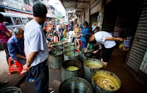 自榨油不能吃,专家建议封禁农村小油坊,网友 当年对猪油也这样