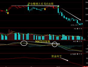 大盘分时走出“ w” 形态 有什么说法？