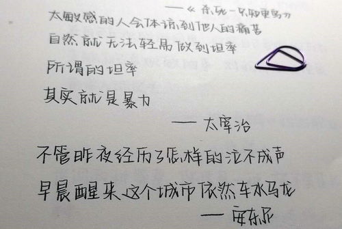 查重时字格和字数哪个更重要？一篇文章带你了解