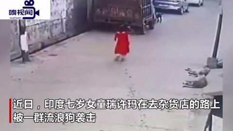 印度 一名七岁女童在街头被一群流浪狗袭击,画面吓人