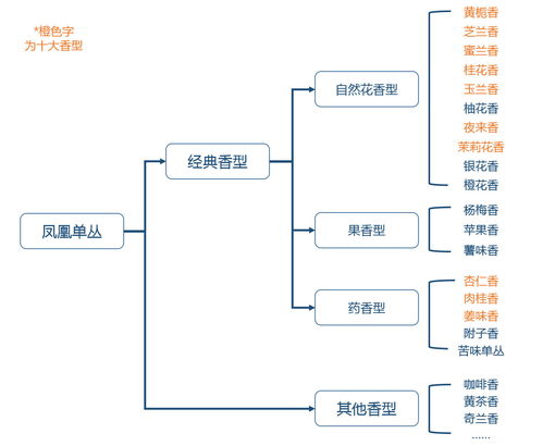 神奇的潮汕树叶 凤凰单丛 