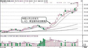 莱宝高科股票最高的时候是多少钱一股