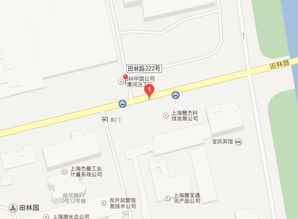 上海市田林路222号生产的口罩是什么牌子？