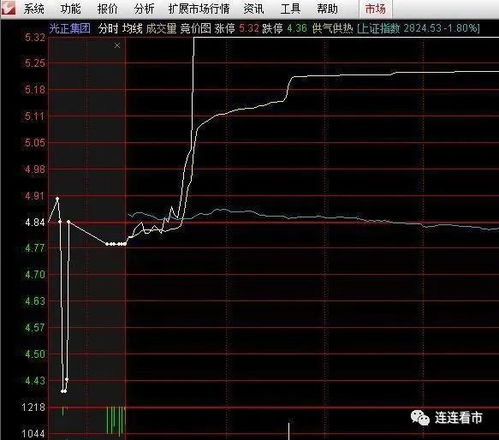 A股科创板主力资金流向-10月19日