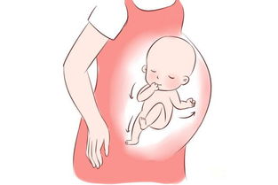 原创怀孕第一个月5个最明显的症状，不要以为第一个月不重要