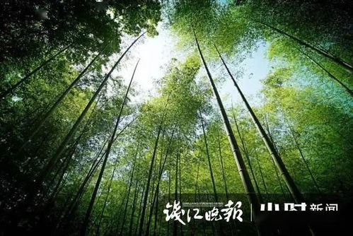 5月3日至5日,杭州这些景区预约量较大 请大家避开热点时段