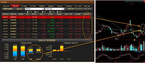 大赢家股票软件怎么样好不好？