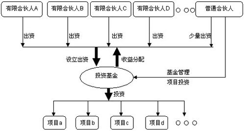 如何成立及运作开曼投资基金