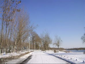 哪里下雪啦 可以发几张下雪的照片么 