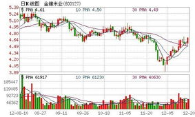 金健米业今天为何停牌?何时复牌?它停牌也应有公告啊,何时复牌也应该告知啊,在哪里找啊?