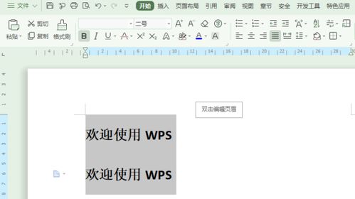 wps office怎么把文字复制粘贴 