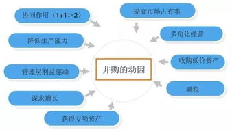 有哪些上市公司开展了海外并购