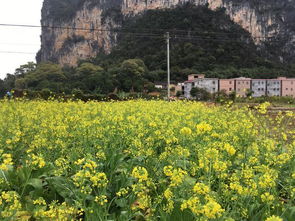 藏在广东清远的小桂林,烟雨季节风景如画,好玩的地方不比桂林少 