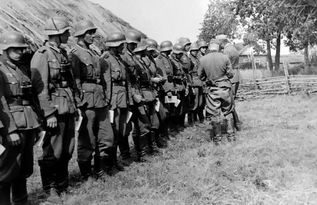 意外发现俄罗斯斯大林格勒战役阵亡的1800名德国士兵集体墓穴