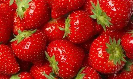 九香草莓特点，摩羯座草莓香