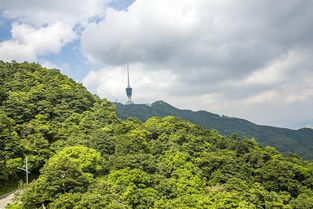 2019亭子里赏景视野很好,风景很美,云雾起起落落,很凉快有仙境的感觉 建议与仙湖植物园一并游览 梧桐山 评论 去哪儿攻略 