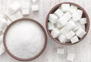 限糖 不代表不吃糖 专家教你科学控糖
