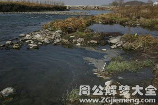 梦见河水浑浊很大是什么意思 梦到河水浑浊很大好不好 大鱼解梦网 