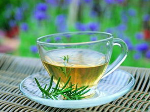 绿茶喝多了对身体好吗 