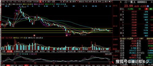 大盘今天跌这么多三一重工为什么表现这么好？是接下来还会拉升吗？