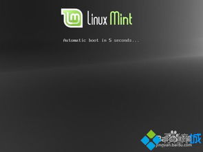 win10安装linuxmint18